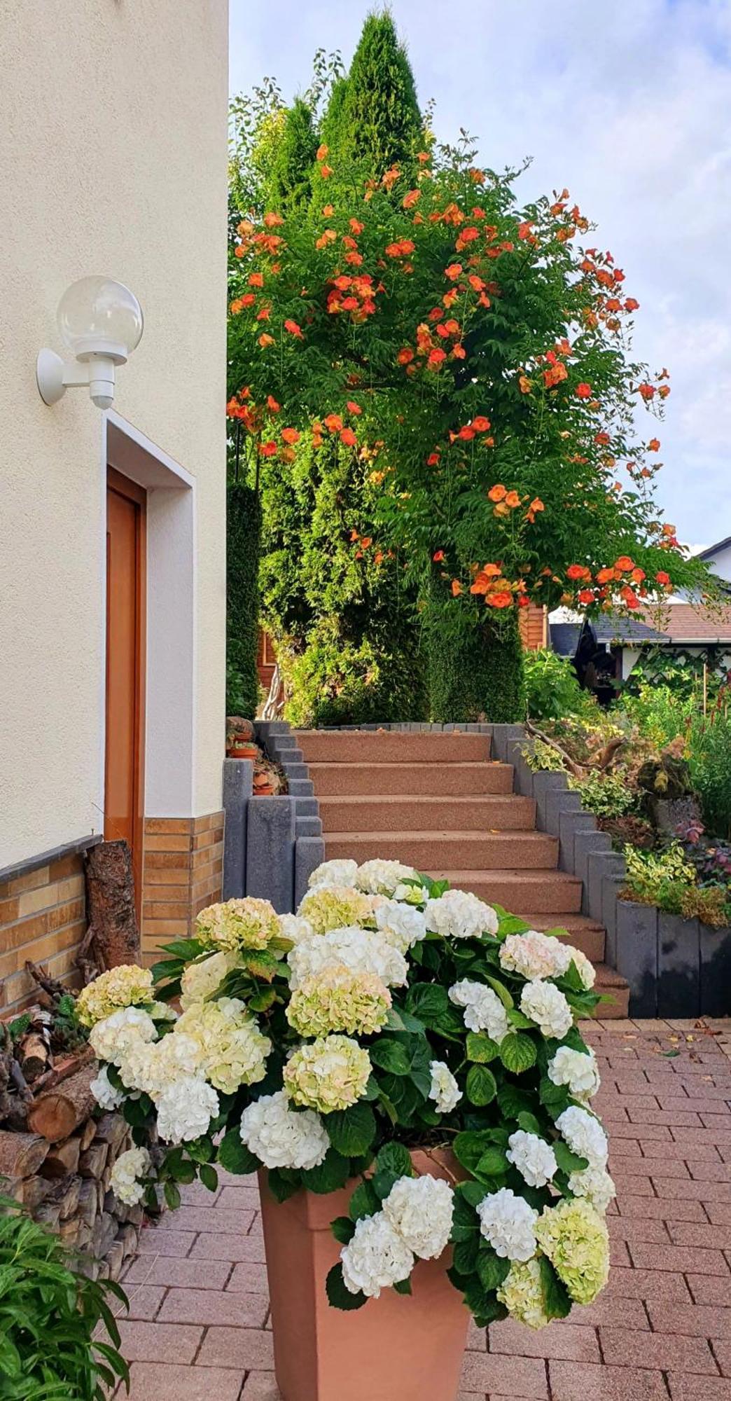 Gaestezimmer Weinberg Steinau an der Straße Exteriör bild